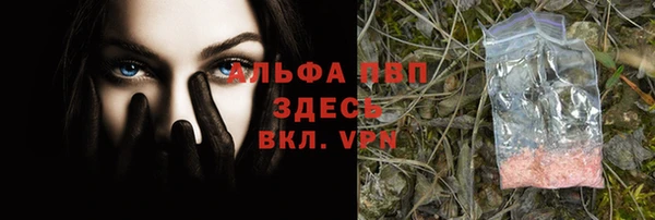 ECSTASY Баксан
