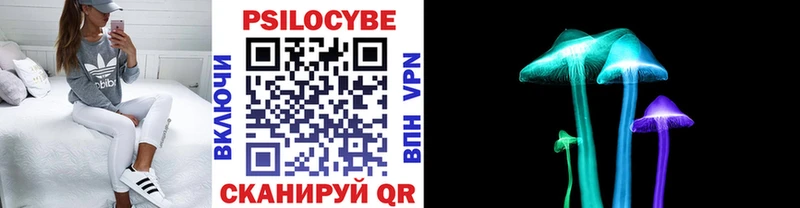 Псилоцибиновые грибы Magic Shrooms  где продают   Новая Усмань 